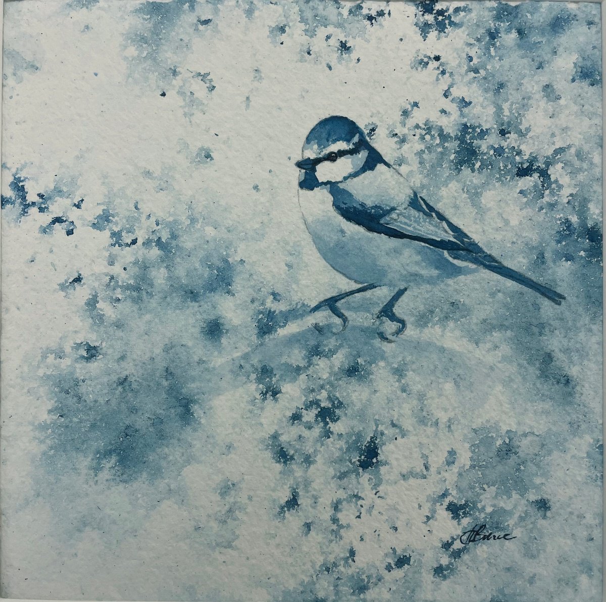 Blue Tit in Blue by Hannah Bruce