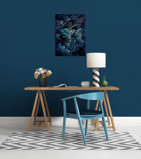 Spring | Limited Edition Fine Art Print 1 of 10 | 40 x 60 cm