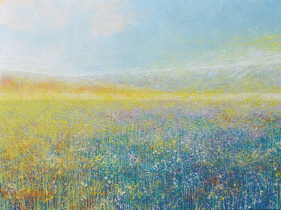 Summer Meadow