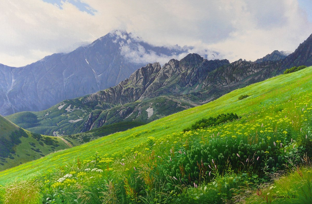 Summer mountain meadows by Mlynarcik Emil