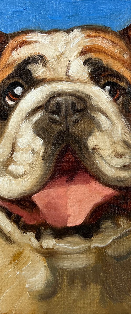 English Bulldog by Elina Arbidane