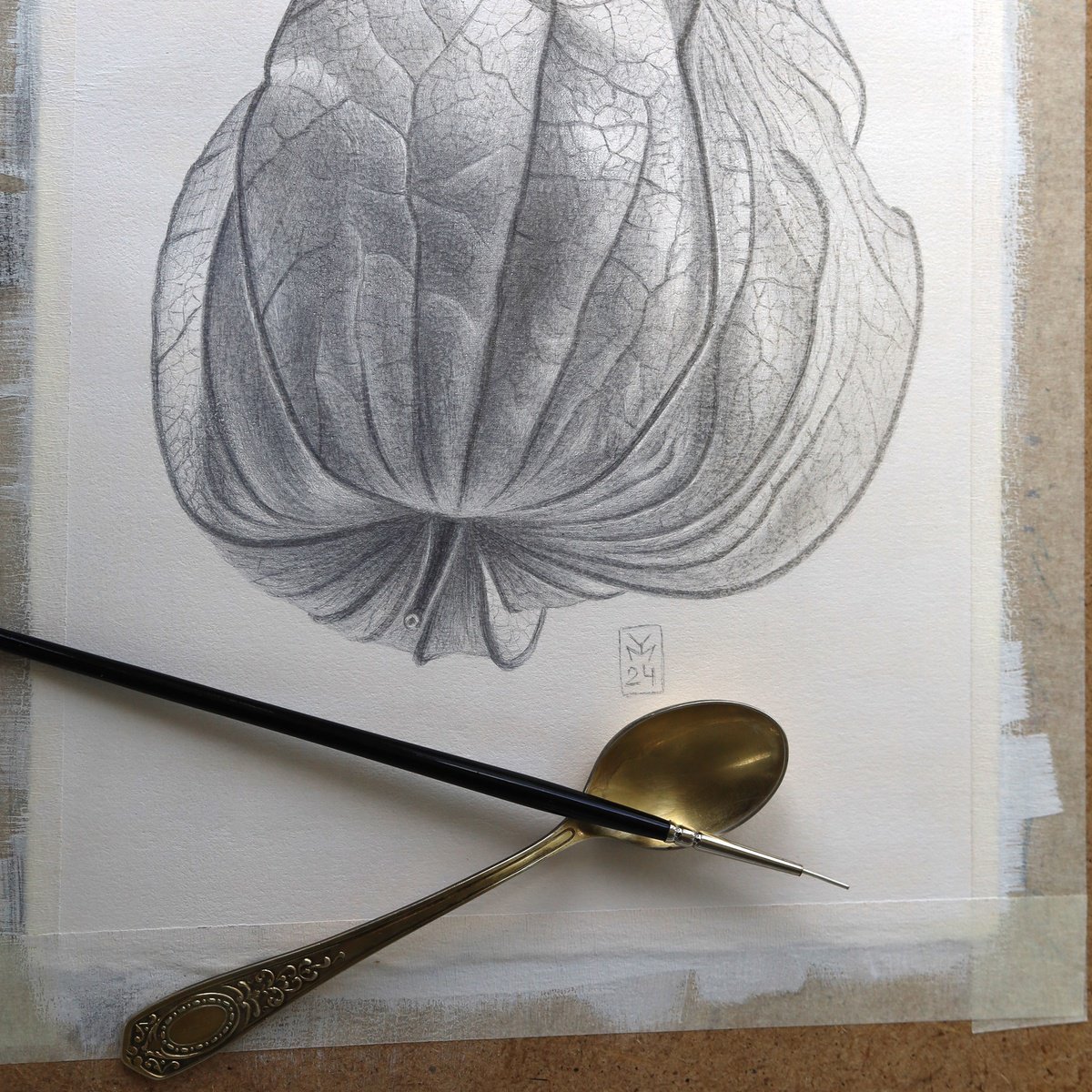 Graphic Botanical Drawing By Yuliia Moiseieva, 7 X 11", Physalis, Original Artwork
