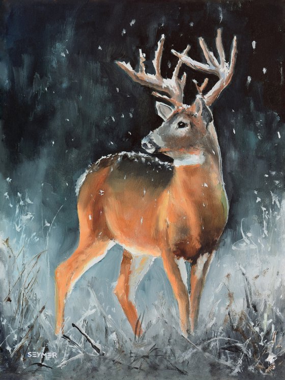 Male buck deer in snowy scene