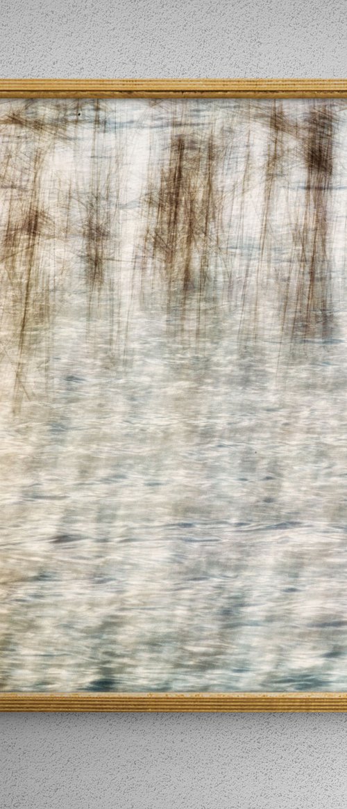 Reeds on the lake by Karim Carella