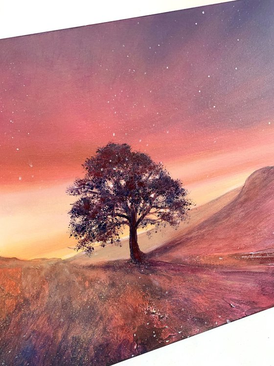 100x50cm Art Print - Stars & Light Over Sycamore Gap