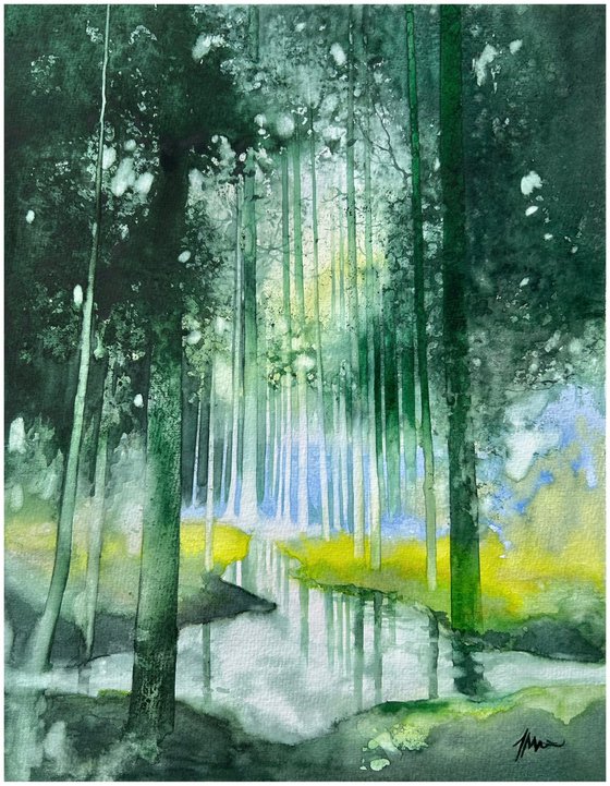 Serene Forest Landscape