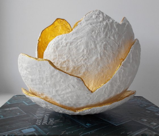 "Golden Camellia"