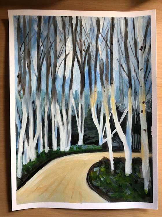 Birch Forest