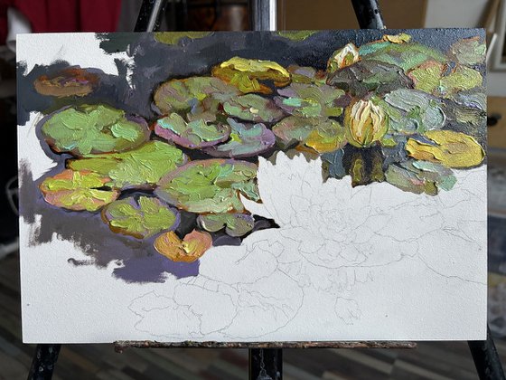 Water Lilies