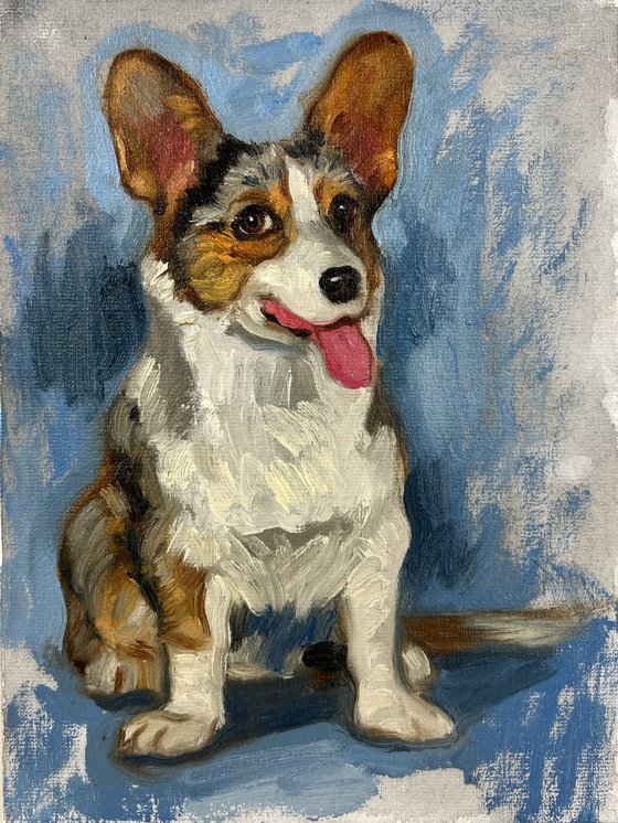 Cardigan corgi