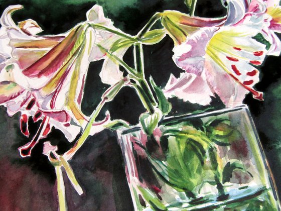Lily from my garden