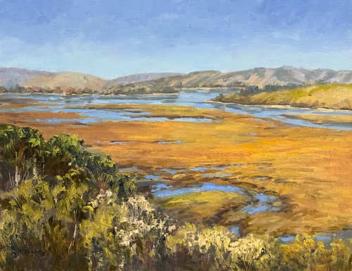 Walker Creek Marshes At Tomales Bay by Tatyana Fogarty