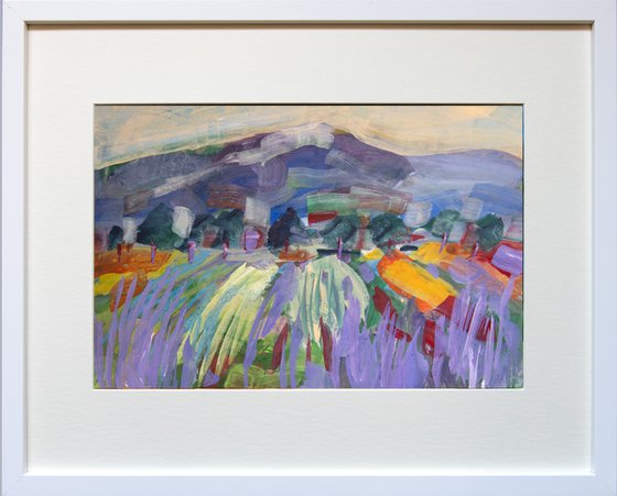Lavender Fields