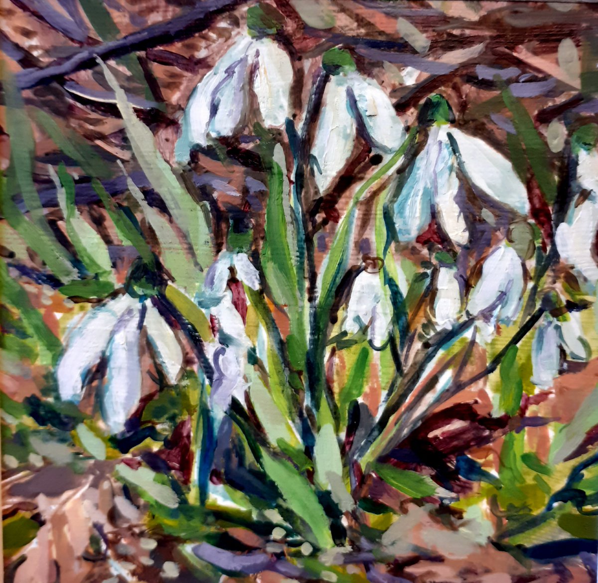 Snowdrops by Ann Kilroy