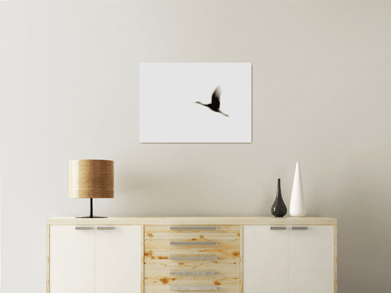 Crane(s) I | Limited Edition Fine Art Print 1 of 10 | 60 x 40 cm