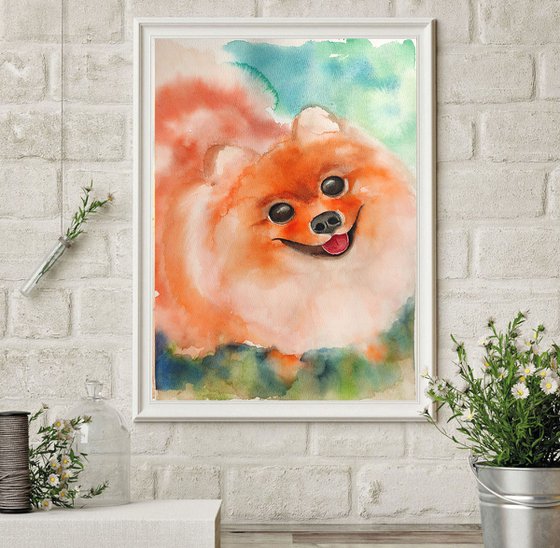 Pomeranian