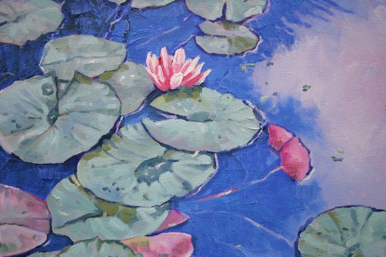 Tranquil Waterlilies
