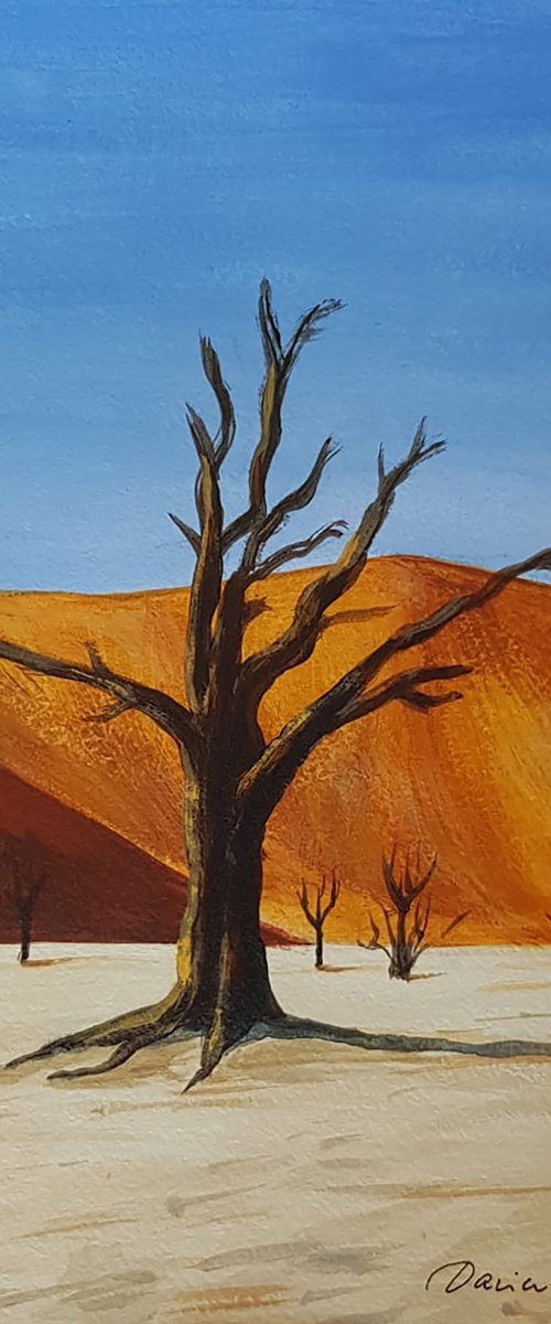 Desert Acacia by Daria Startseva