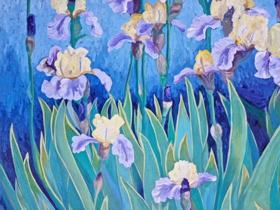 Yellow And Purple Irises