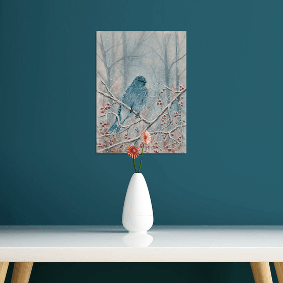 Mountain bluebird