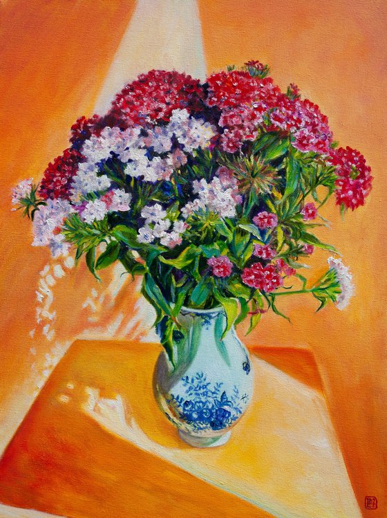Sweet William Flowers