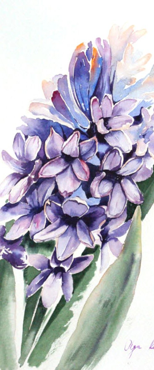 Purple Hyacinth by Olga Koelsch