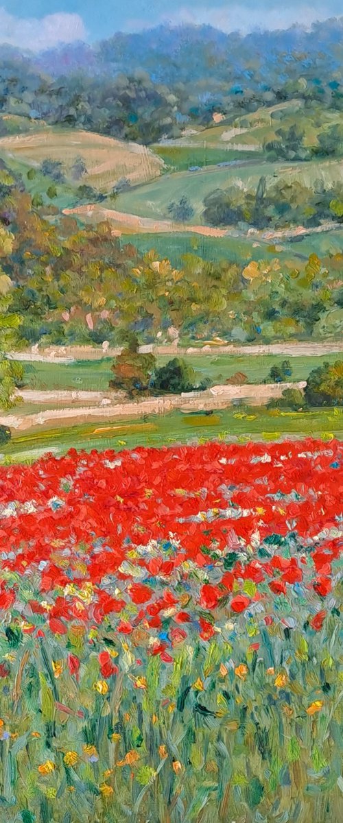 Poppy fields in Tuscany by Claudio Ciardi