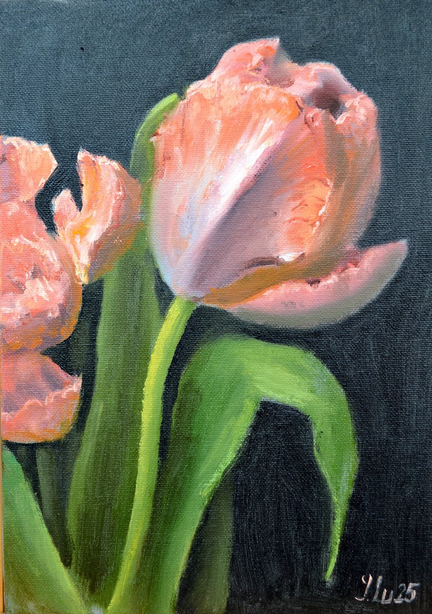Expressive Botanical Oil Painting By Elena Lukina, 8 X 12, Coral Tulips 4, Original Artwork