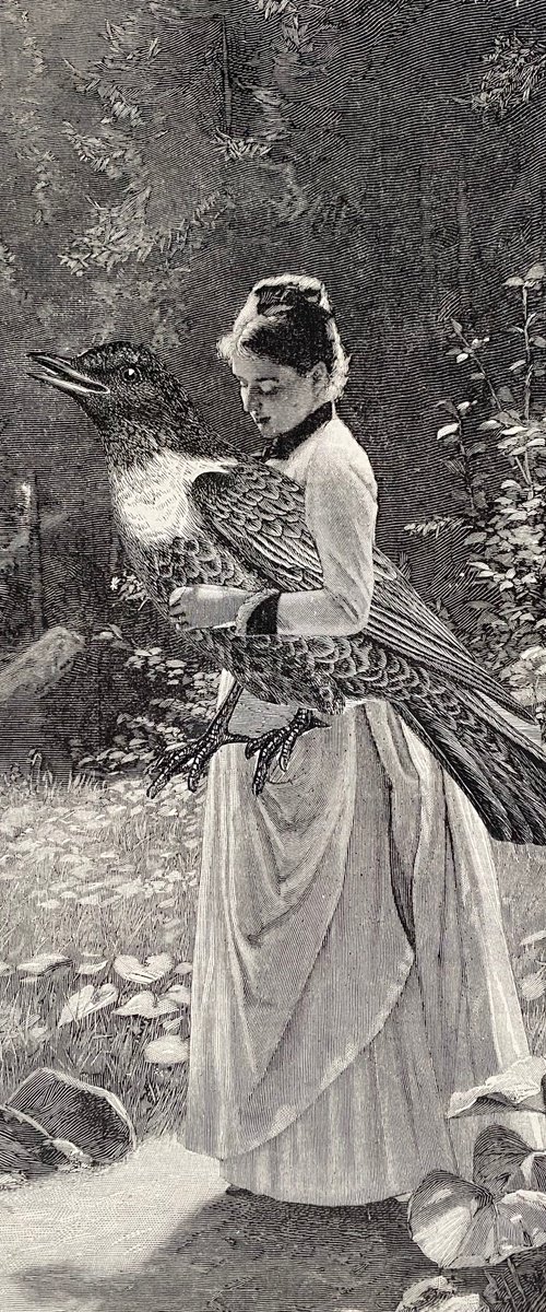 Her best friend by Tudor Evans