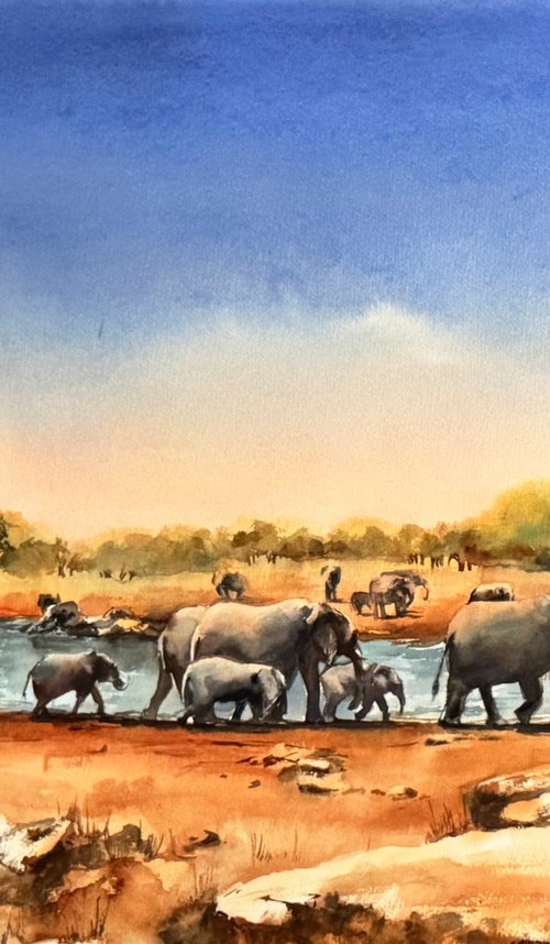 Elephants by Sophie Rodionov