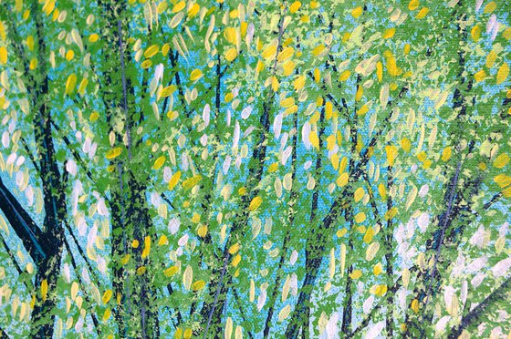 Light Through Summer Trees