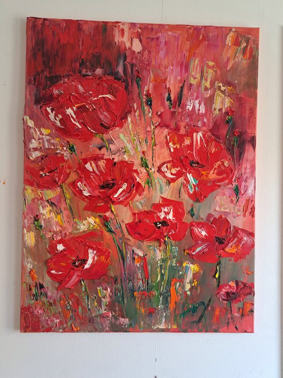 Poppies at the red background