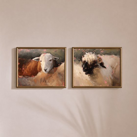 Valais Blacknose Sheep Study