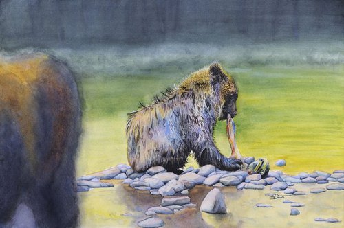 Salmon Bear - Grizzly Bear by Jason Edward Doucette