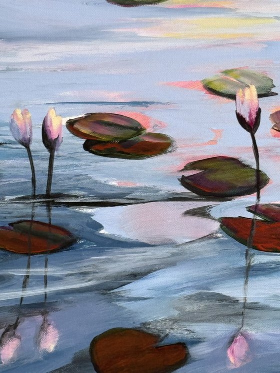 Water Lilies Land 1