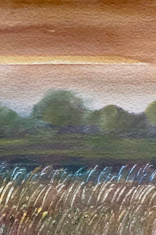 By the Grass Meadow by Samantha Adams