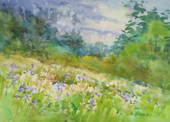 Rainy sketch with blue bells / Summer rain Meadow landscape Watercolor sketch