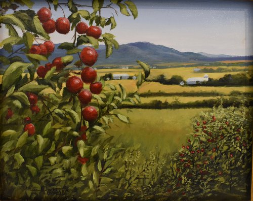 Rougemont Cider Apple Orchard by Gilbert Lessard