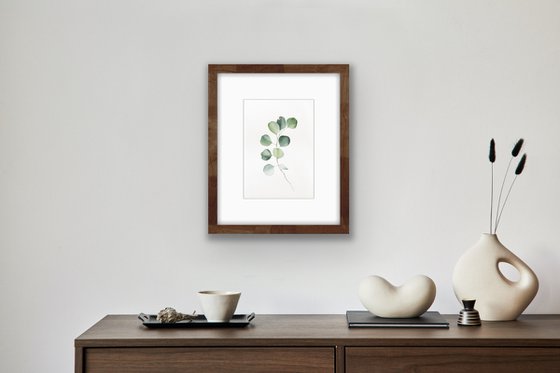 Eucalyptus branch. Original watercolour artwork.