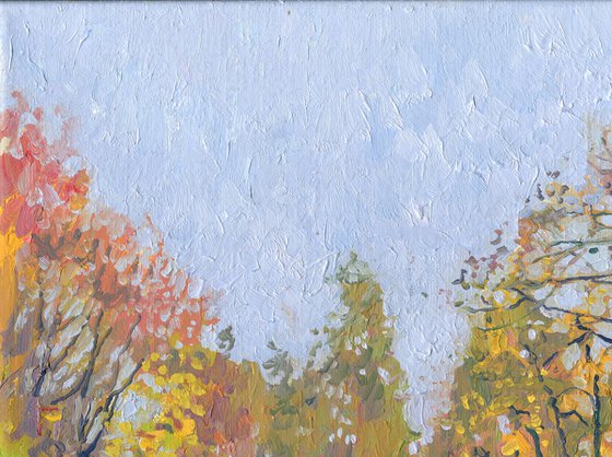The Last Leaves