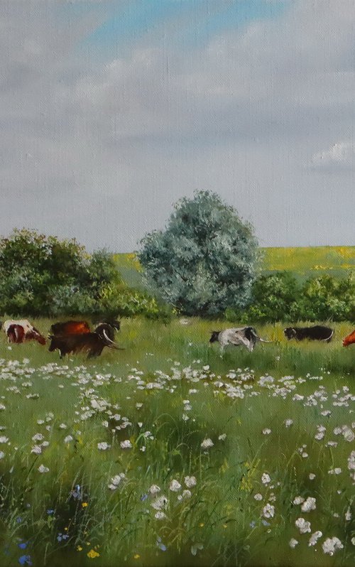 Cows in the Meadow by Natalia Shaykina