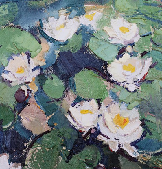 Water lilies - Pond - Flowers - Christmas gift