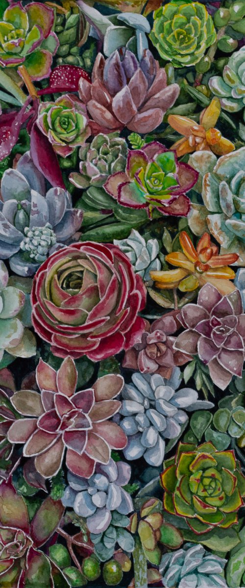 Succulents rainbow carpet. by Yafit Moshensky