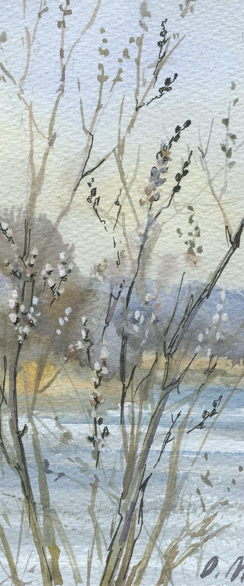 Spring sketch with pussy willow / Original watercolor landscape. Grey blue square picture by Olha Malko