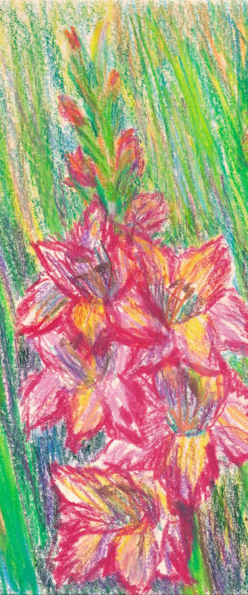 Gladiolus Flowers, 2018, oil pastel on paper, 29.5 x 21 cm by Alenka Koderman