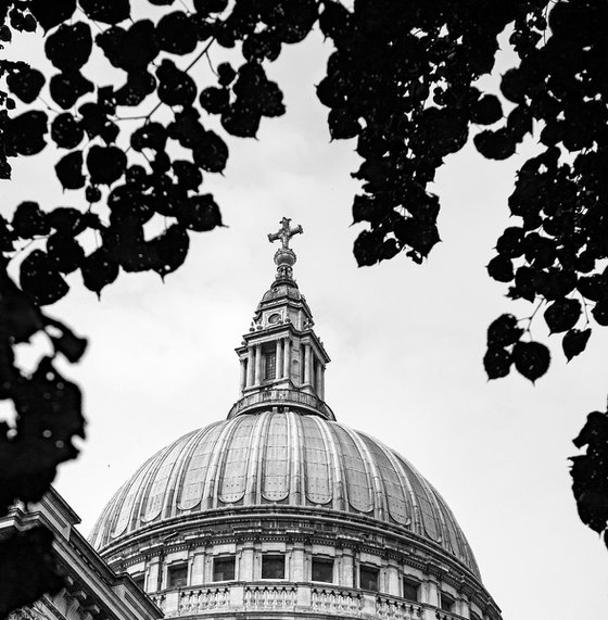 Natural framing : St Pauls Cathedral NO: 2 B&W   1/20 12" X 18"