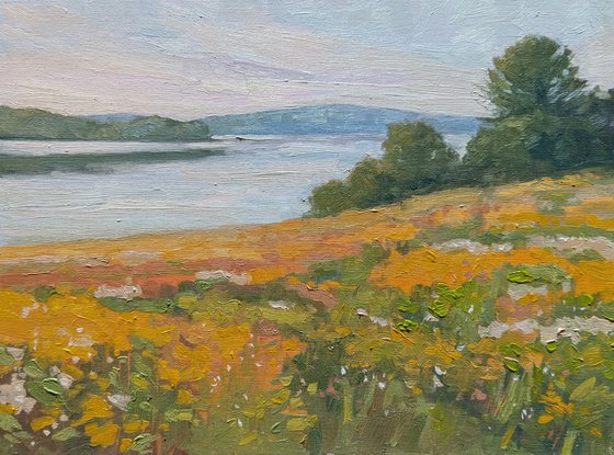 Coastal Meadow