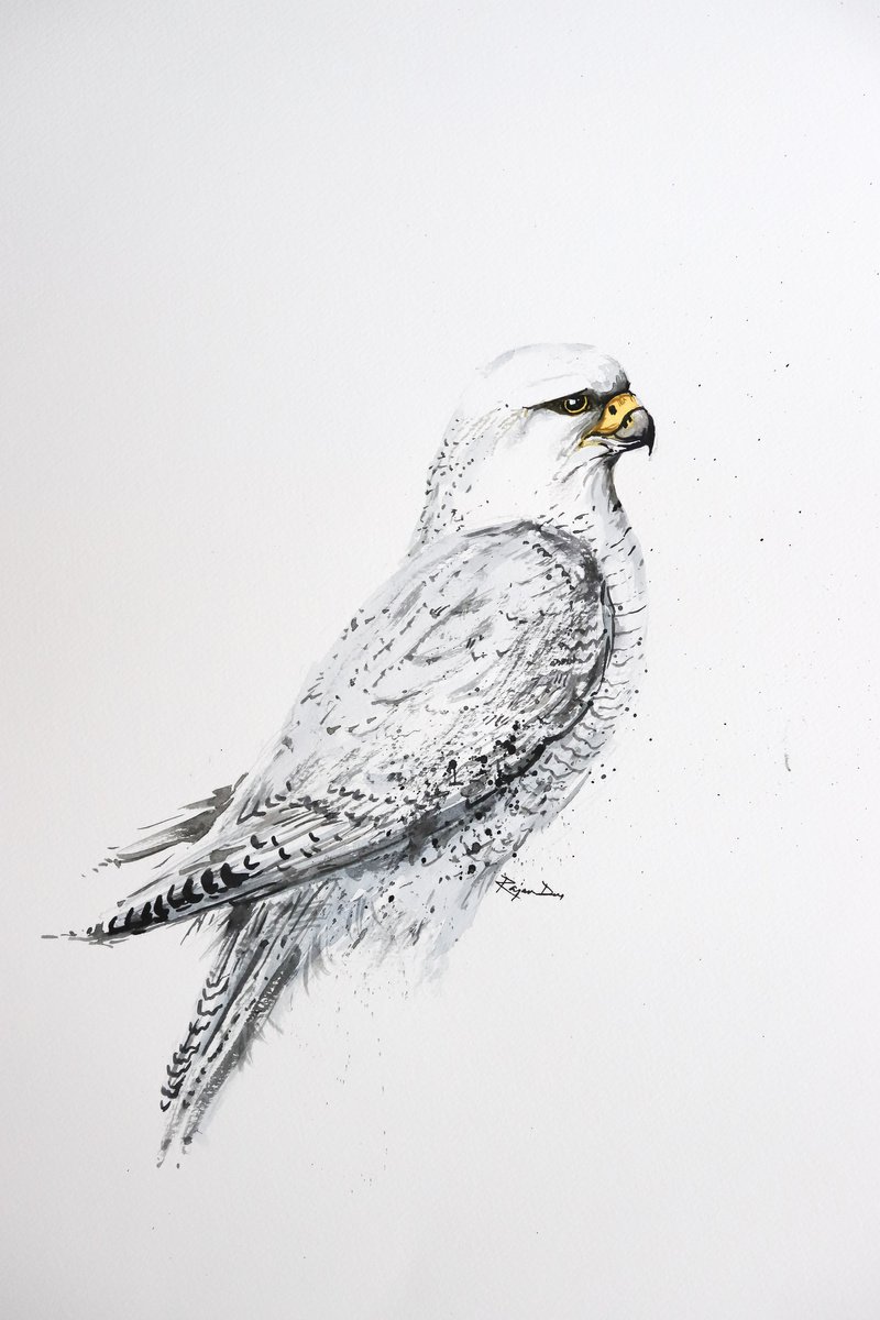 Birds Of Prey A3-8 by Rajan Dey