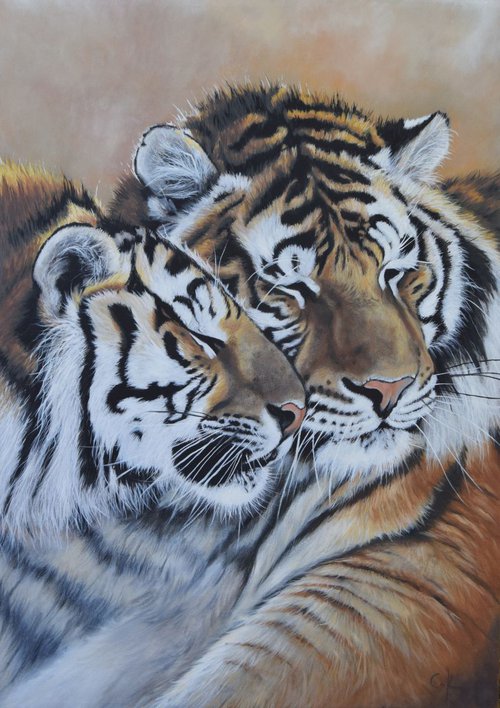 'Tiger Time' by Nicola Colbran