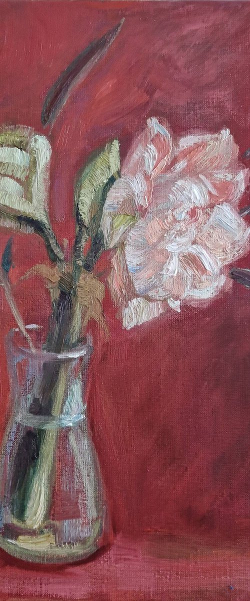 Still-life with flower "Amaryllis" by Olena Kolotova